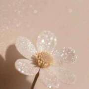 ヒメ日記 2026/03/22 12:03 投稿 つばさ ダイスキ