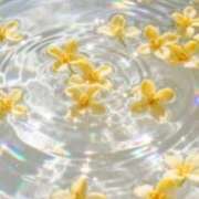 ヒメ日記 2026/03/25 08:01 投稿 つばさ ダイスキ