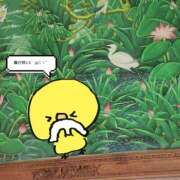 ヒメ日記 2026/04/13 08:40 投稿 える 奥鉄オクテツ大阪