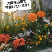 ヒメ日記 2026/05/16 13:00 投稿 える 奥鉄オクテツ大阪