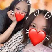 スイセン ヤミツキ❤️ 飾窓