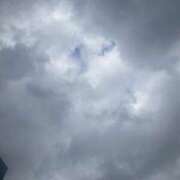 ヒメ日記 2026/07/28 13:56 投稿 スイセン 飾窓