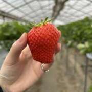 ヒメ日記 2026/03/31 21:00 投稿 もか CHERRY WEST(チェリーウエスト)