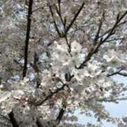 ヒメ日記 2026/04/11 21:00 投稿 もか CHERRY WEST(チェリーウエスト)