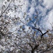 ヒメ日記 2026/03/24 07:31 投稿 神乃みこ セカンドパートナー本店