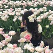 ヒメ日記 2026/05/03 11:38 投稿 すずか PHANTOM(ファントム)