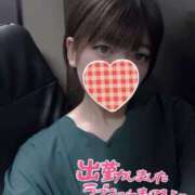 ヒメ日記 2026/05/11 12:49 投稿 琴葉（ことは） NOA（ノア）