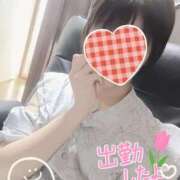 ヒメ日記 2026/07/12 12:15 投稿 琴葉（ことは） NOA（ノア）