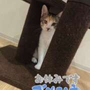 琴葉（ことは） 本日休みます😭 NOA（ノア）