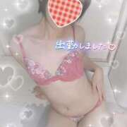 ヒメ日記 2026/09/29 11:14 投稿 琴葉（ことは） NOA（ノア）