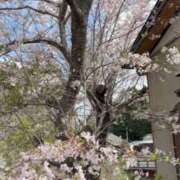 ヒメ日記 2026/04/06 10:51 投稿 富士（ふじ） 松戸デリヘル　熟女ヘブン