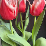 ヒメ日記 2026/03/19 10:13 投稿 あのん 美熟女倶楽部Hip's 春日部店