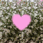 ヒメ日記 2026/03/25 09:52 投稿 あのん 美熟女倶楽部Hip's 春日部店