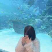 ヒメ日記 2026/03/19 17:30 投稿 るあ 即プレイ専門店即ヤリの極み 赤坂店