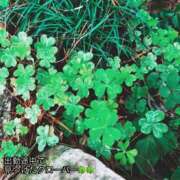 ヒメ日記 2026/03/23 17:22 投稿 響あお 五反田ヒーローズ（ユメオト）