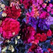 ヒメ日記 2026/03/29 19:41 投稿 響あお 五反田ヒーローズ（ユメオト）