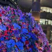 ヒメ日記 2026/04/05 09:37 投稿 響あお 五反田ヒーローズ（ユメオト）