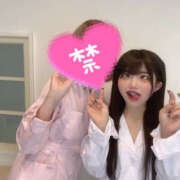 ヒメ日記 2026/05/19 18:05 投稿 せりな SEXIS-セクシーズ-