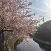 ヒメ日記 2026/03/31 15:29 投稿 まき 横浜ミセスアロマ（ユメオト）