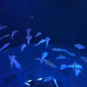 ヒメ日記 2026/03/18 23:06 投稿 ひよ 新潟市鳥屋野潟ちゃんこ