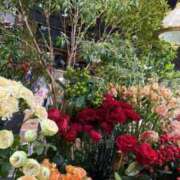 ヒメ日記 2026/03/20 19:11 投稿 ひよ 新潟市鳥屋野潟ちゃんこ