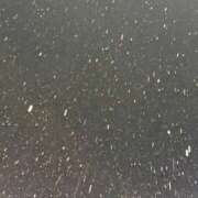 ヒメ日記 2026/03/21 09:56 投稿 ひよ 新潟市鳥屋野潟ちゃんこ