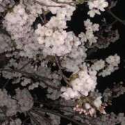 ヒメ日記 2026/03/29 08:56 投稿 ひよ 新潟市鳥屋野潟ちゃんこ