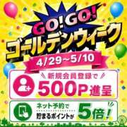 ヒメ日記 2026/04/29 13:06 投稿 ひよ 新潟市鳥屋野潟ちゃんこ