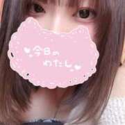 ひよ えっちな気分…♡ 新潟市鳥屋野潟ちゃんこ