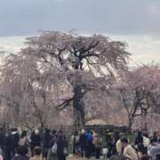 ヒメ日記 2026/03/20 02:48 投稿 天メアリー 松戸人妻花壇