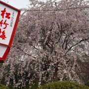 ヒメ日記 2026/03/25 20:39 投稿 天メアリー 松戸人妻花壇