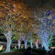 ヒメ日記 2026/04/07 02:19 投稿 天メアリー 松戸人妻花壇