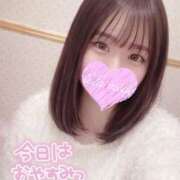 なな ごめんなさい😭 アラモード