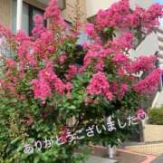 ヒメ日記 2026/03/27 01:28 投稿 加藤　つばき NADIA東京新橋店