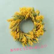 ヒメ日記 2026/04/28 22:53 投稿 加藤　つばき NADIA東京新橋店