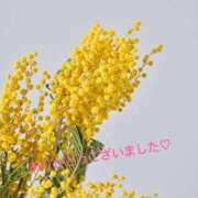 ヒメ日記 2026/07/08 00:41 投稿 加藤　つばき NADIA東京新橋店