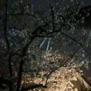 ヒメ日記 2026/03/28 20:45 投稿 みれい 君とふわふわプリンセスin熊谷