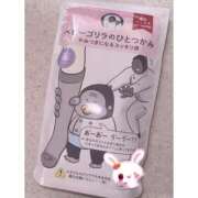 ヒメ日記 2026/04/09 08:15 投稿 えむ ぺろぺろベロベロ専科 ぺろんちょ