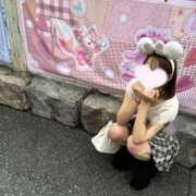 ☆ありす☆ はじめまして(=・ω・）ノ Kiseki