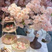 ヒメ日記 2026/04/06 18:39 投稿 のどか【透明感抜群女神OL】 STELLA TOKYO－ステラトウキョウ－