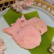 ヒメ日記 2026/04/09 22:27 投稿 のどか【透明感抜群女神OL】 STELLA TOKYO－ステラトウキョウ－