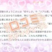 ヒメ日記 2026/04/14 10:39 投稿 きょうこ 香川高松ちゃんこ