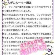 ヒメ日記 2026/04/14 10:59 投稿 きょうこ 香川高松ちゃんこ