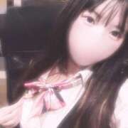 ヒメ日記 2026/03/18 13:03 投稿 うさ ルーフ福井