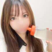 ヒメ日記 2026/03/19 09:12 投稿 うさ ルーフ福井