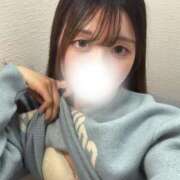 こはる 🐩 デザインプリズム新宿