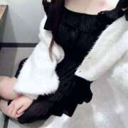 なのか なのか（スピード日本橋店） スピード日本橋店