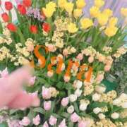 ヒメ日記 2026/03/19 10:11 投稿 さら MIKADO