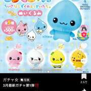 ヒメ日記 2026/03/19 15:54 投稿 ちびまる あるまぎ！