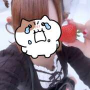 ヒメ日記 2026/04/07 17:06 投稿 ちびまる あるまぎ！